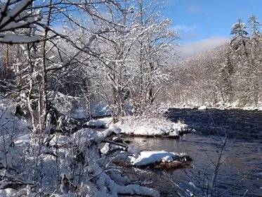 Abenaki Trails Project Image