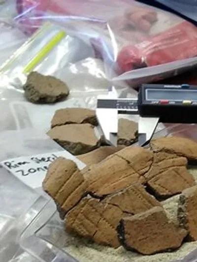 Pottery sherds