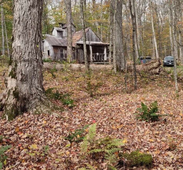 The beautiful cabin at Wheelock
