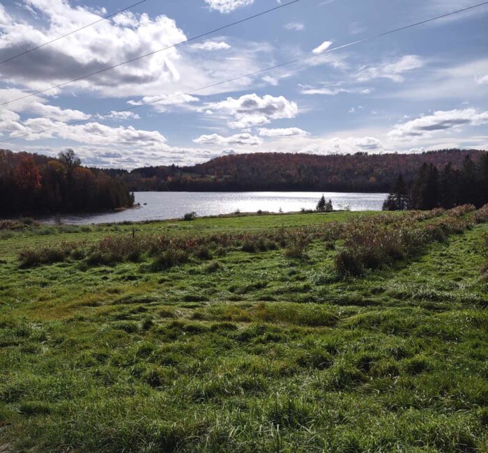 The beautiful lake at Wheelock