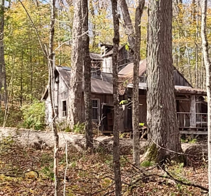 The cabin at Wheelock