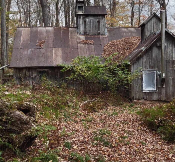 Some buildings on the land