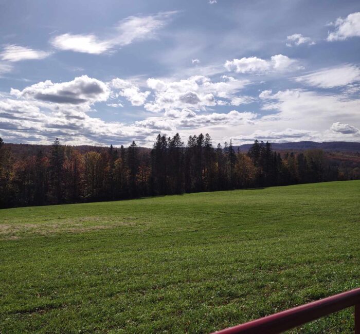A view of the new Nulhegan Abenaki land at Wheelock