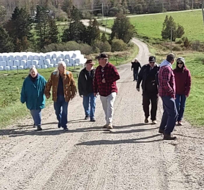Walking the long road up to the cabin