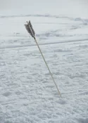 Arrow in the snow at the snow snake games.