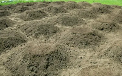Mound making