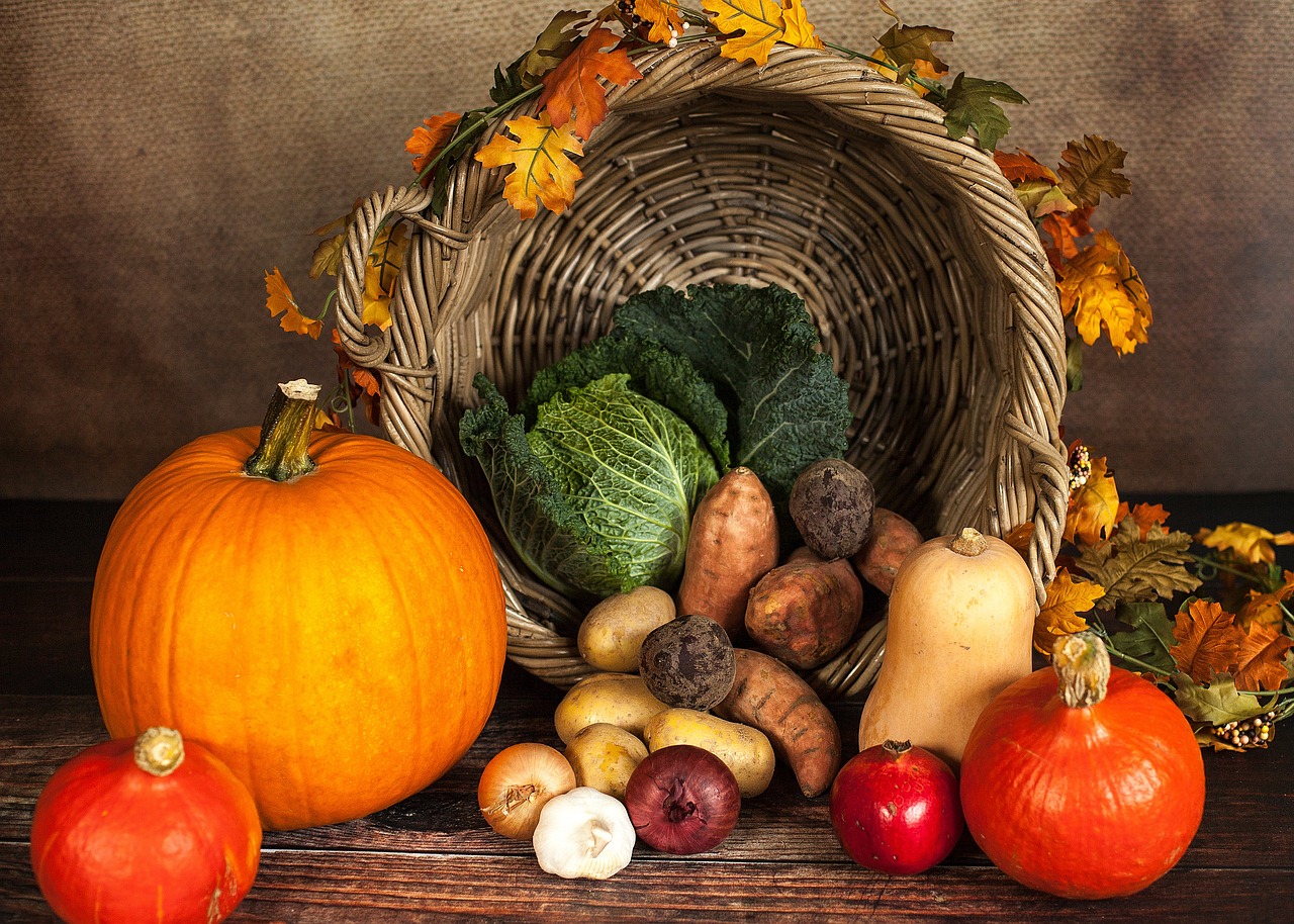 Harvested vegetables.